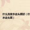 什么洗发水去头屑好（什么洗发水去头屑）