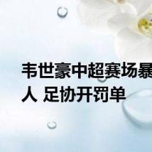 韦世豪中超赛场暴力踢人 足协开罚单