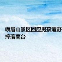 峨眉山景区回应男孩遭野猴扑倒摔落高台
