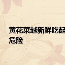 黄花菜越新鲜吃起来越危险