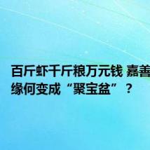百斤虾千斤粮万元钱 嘉善这块田缘何变成“聚宝盆”？