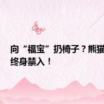 向“福宝”扔椅子?熊猫基地:终身禁入!