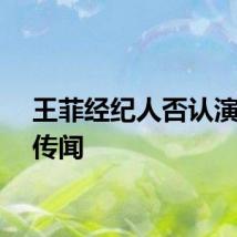 王菲经纪人否认演唱会传闻