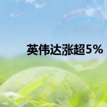 英伟达涨超5%