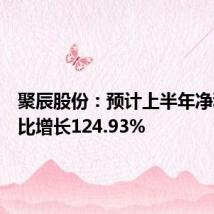 聚辰股份:预计上半年净利润同比增长124.93%