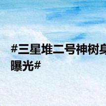 #三星堆二号神树身高大曝光#