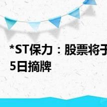 *ST保力：股票将于7月25日摘牌