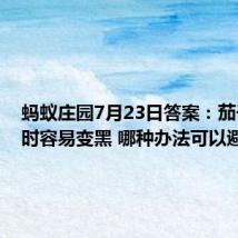 蚂蚁庄园7月23日答案:茄子烹饪时容易变黑 哪种办法可以避免