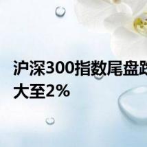 沪深300指数尾盘跌幅扩大至2%