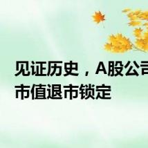 见证历史，A股公司首例市值退市锁定