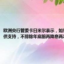 欧洲央行管委卡日米尔表示，如果数据提供支持，不排除年底前再降息两次