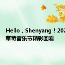 Hello,Shenyang!2024沈阳草莓音乐节精彩回看