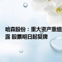 哈森股份:重大资产重组预案披露 股票明日起复牌
