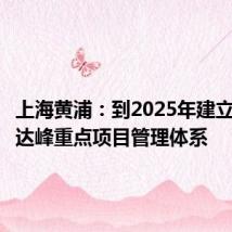 上海黄浦:到2025年建立完善碳达峰重点项目管理体系