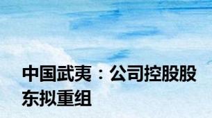 中国武夷：公司控股股东拟重组