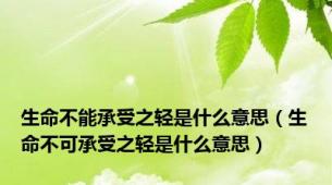 生命不能承受之轻是什么意思（生命不可承受之轻是什么意思）