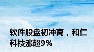 软件股盘初冲高，和仁科技涨超9%