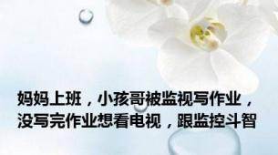 妈妈上班，小孩哥被监视写作业，没写完作业想看电视，跟监控斗智