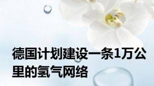 德国计划建设一条1万公里的氢气网络