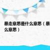 暴走意思是什么意思（暴走是什么意思）