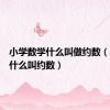 小学数学什么叫做约数（数学中什么叫约数）