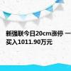新强联今日20cm涨停 一机构净买入1011.90万元