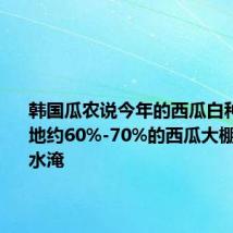 韩国瓜农说今年的西瓜白种了 主产地约60%-70%的西瓜大棚都遭到水淹
