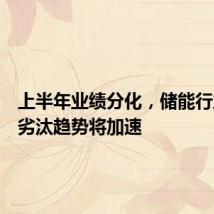 上半年业绩分化，储能行业优胜劣汰趋势将加速