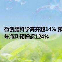 微创脑科学高开超14% 预期上半年净利预增超124%