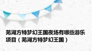 芜湖方特梦幻王国夜场有哪些游乐项目（芜湖方特梦幻王国）