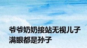 爷爷奶奶接站无视儿子满眼都是孙子