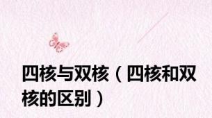 四核与双核（四核和双核的区别）