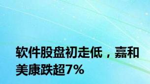 软件股盘初走低，嘉和美康跌超7%