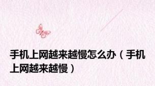 手机上网越来越慢怎么办（手机上网越来越慢）