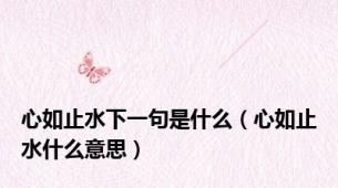 心如止水下一句是什么（心如止水什么意思）