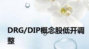 DRG/DIP概念股低开调整