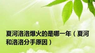 夏河洛洛爆火的是哪一年（夏河和洛洛分手原因）