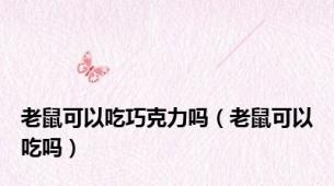 老鼠可以吃巧克力吗（老鼠可以吃吗）