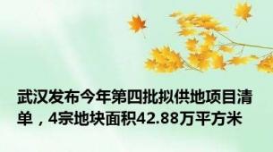 武汉发布今年第四批拟供地项目清单，4宗地块面积42.88万平方米