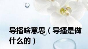 导播啥意思（导播是做什么的）