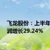 飞龙股份：上半年净利润增长29.24%