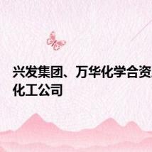 兴发集团、万华化学合资成立磷化工公司
