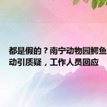 都是假的?南宁动物园鳄鱼一动不动引质疑,工作人员回应