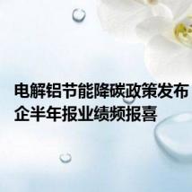 电解铝节能降碳政策发布 上市铝企半年报业绩频报喜