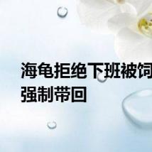 海龟拒绝下班被饲养员强制带回