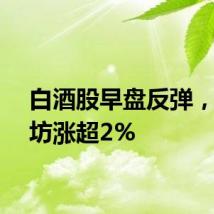 白酒股早盘反弹，水井坊涨超2%