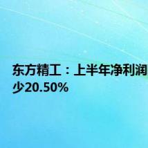 东方精工：上半年净利润同比减少20.50%
