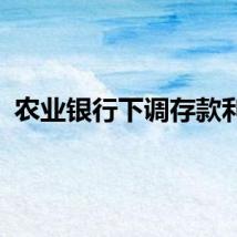 农业银行下调存款利率
