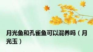 月光鱼和孔雀鱼可以混养吗（月光玉）