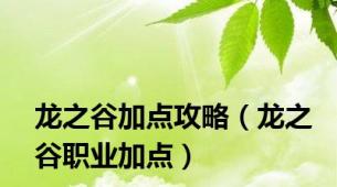 龙之谷加点攻略（龙之谷职业加点）